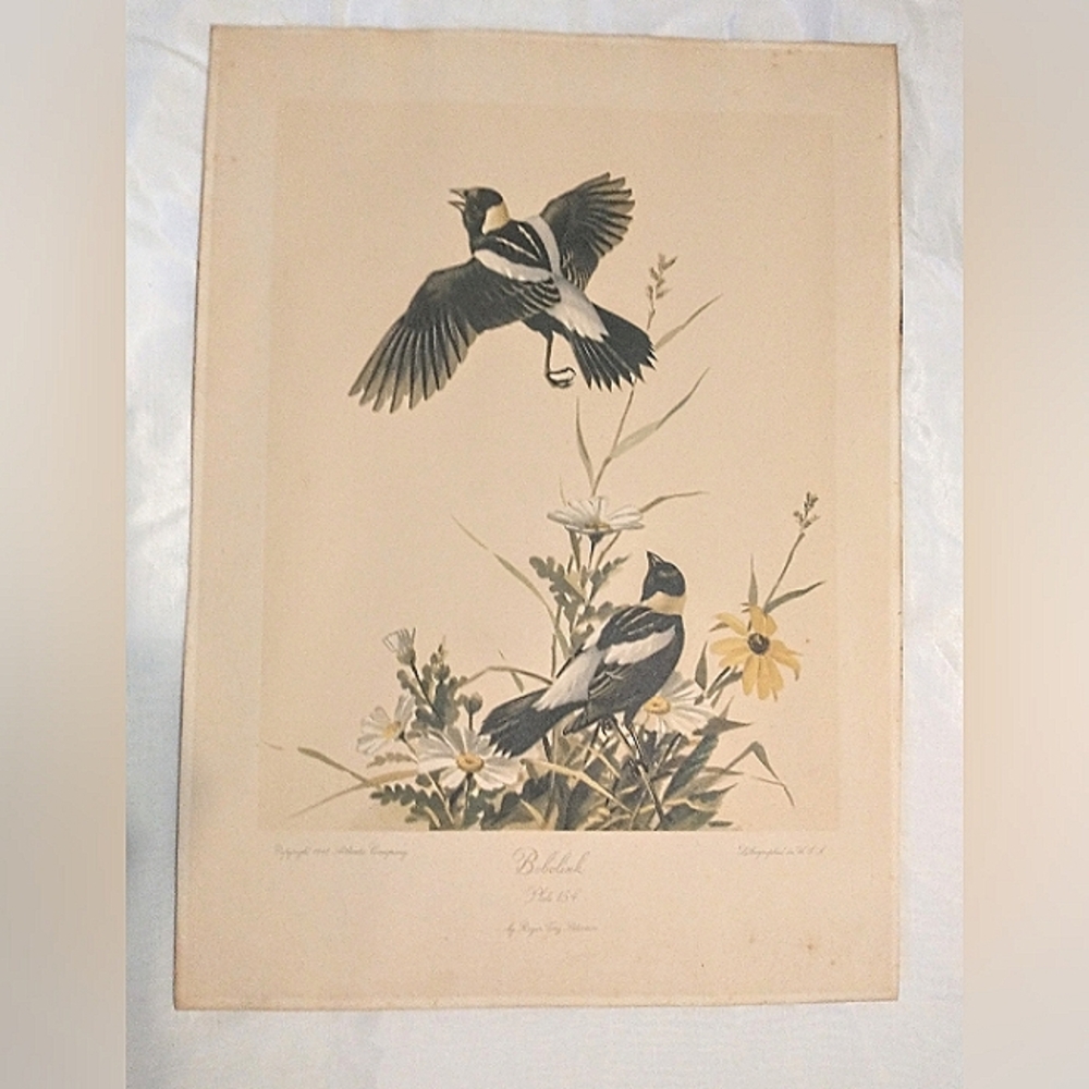"Bobolink" - Roger Tory Peterson - 1948 - Signed, Numbered Lithograph